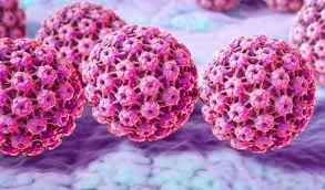 HPV: o que é, causas, sintomas, tratamento, diagnóstico e prevenção